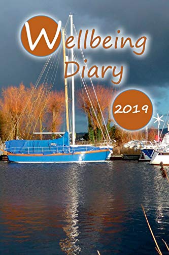 Book Wellbeing Diary 2019 free