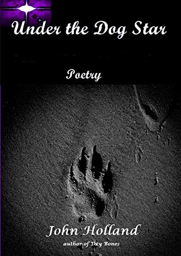 Book Under the Dog Star free
