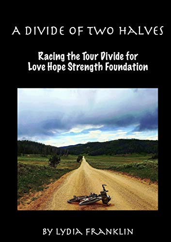 Book A Divide of Two Halves free