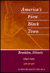 Book America's First Black Town: Brooklyn, Illinois, 1830-1915 free