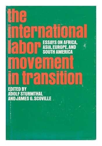 Book The International Labor Movement in Transition free