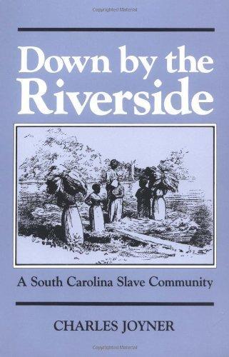 Book Down by the Riverside: A South Carolina Slave Community (Blacks in the New World) free