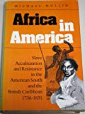 Book Africa in America: Slave Acculturation and Resistance in the American South and the British Caribbean, 1736-1831 (Blacks in the New World) free