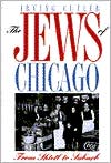 Book The Jews of Chicago: Fron Shtetl to Suburb (Ethnic History of Chicago) free