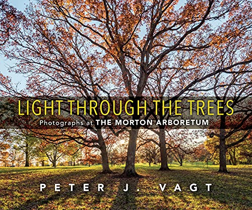 Book Light Through the Trees: Photographs at The Morton Arboretum free