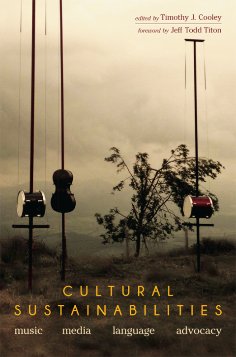 Book Cultural Sustainabilities: Music, Media, Language, Advocacy free
