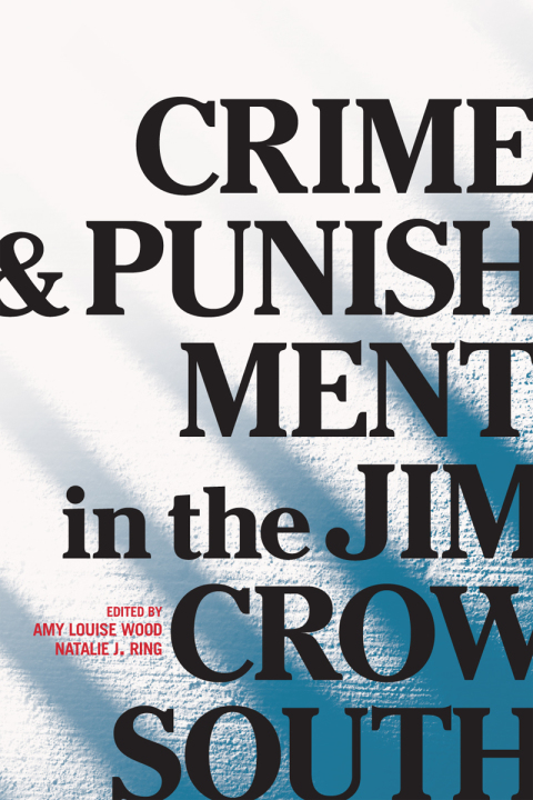 Book Crime and Punishment in the Jim Crow South free
