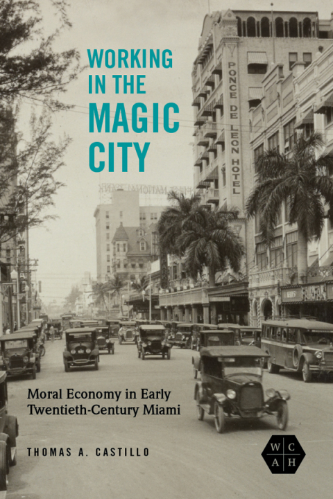 Book Working in the Magic City free