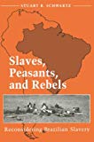 Book Slaves, Peasants, and Rebels: RECONSIDERING BRAZILIAN SLAVERY (Blacks in the New World) free