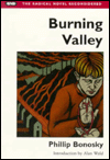 Book Burning Valley (Radical Novel Reconsidered) free