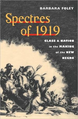 Book Spectres of 1919: Class and Nation in the Making of the New Negro free