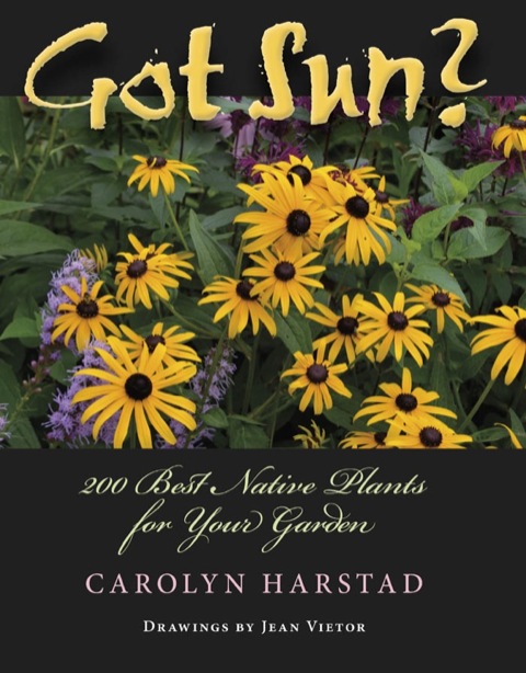 Book Got Sun?: 200 Best Native Plants for Your Garden (Encounters: Explorations in Folklore and Ethnomusicology) free