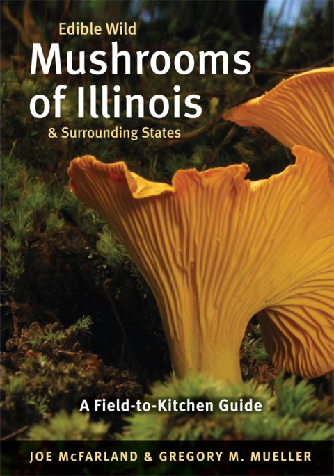 Book Edible Wild Mushrooms of Illinois and Surrounding States free