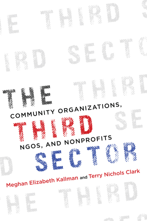 Book The Third Sector: Community Organizations, NGOs, and Nonprofits free