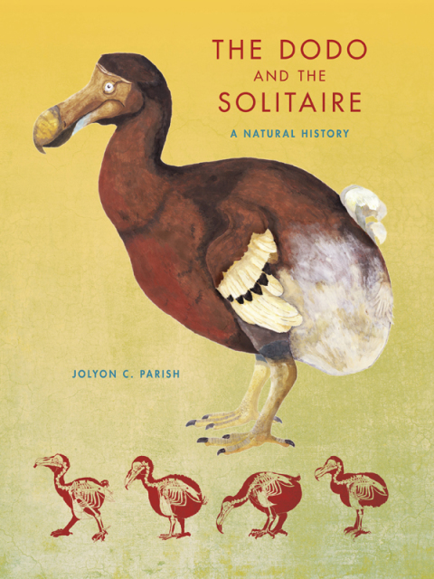Book The Dodo and the Solitaire: A Natural History (Life of the Past) free