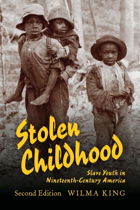 Book Stolen Childhood: Slave Youth in Nineteenth-Century America (Blacks in the Diaspora) free