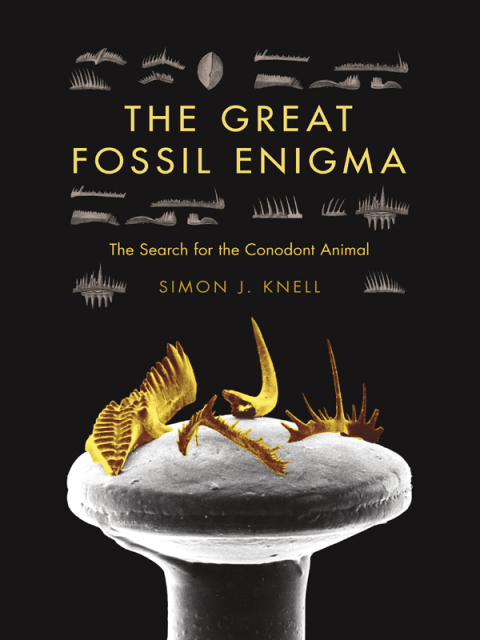 Book The Great Fossil Enigma: The Search for the Conodont Animal (Life of the Past) free