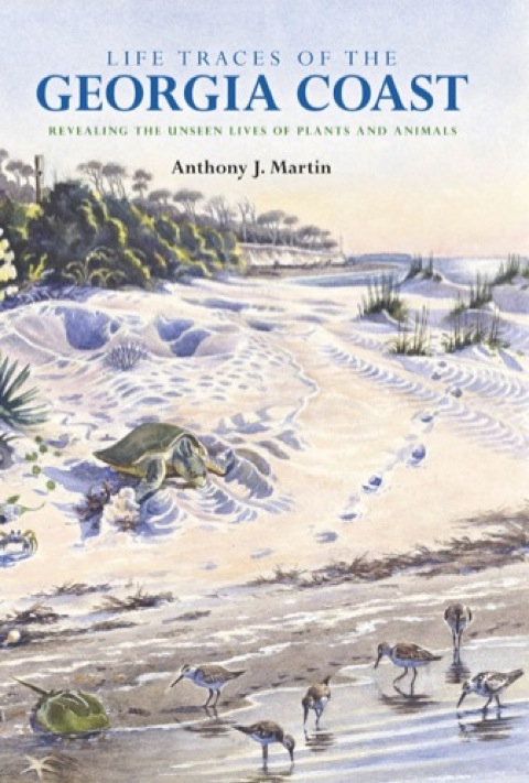 Book Life Traces of the Georgia Coast free