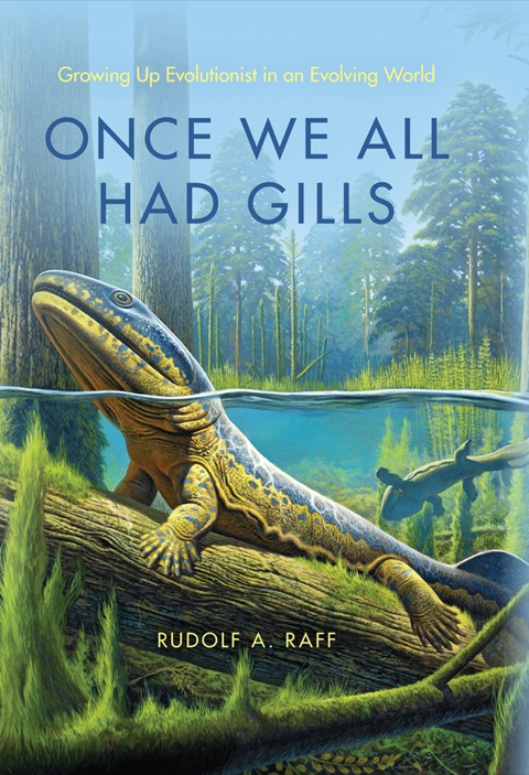 Book Once We All Had Gills: Growing Up Evolutionist in an Evolving World free