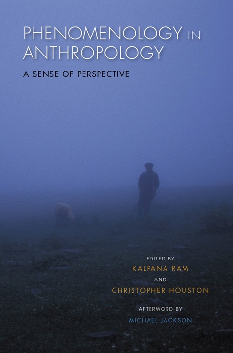 Book Phenomenology in Anthropology: A Sense of Perspective free