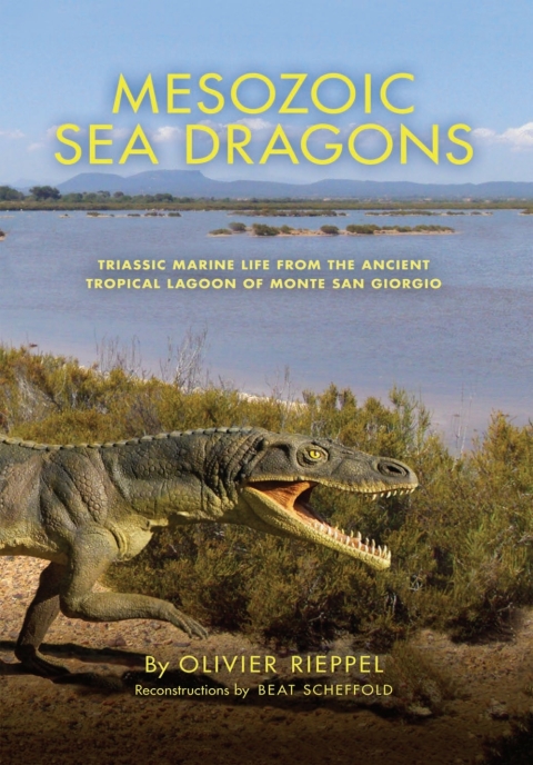 Book Mesozoic Sea Dragons free