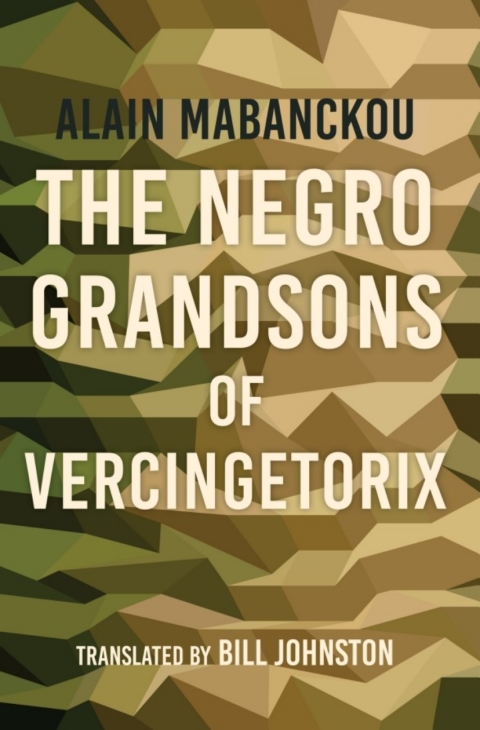 Book The Negro Grandsons of Vercingetorix free
