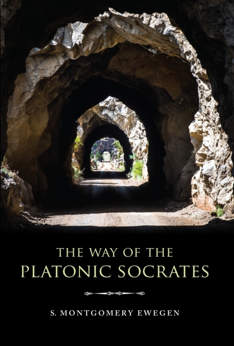 Book The Way of the Platonic Socrates free