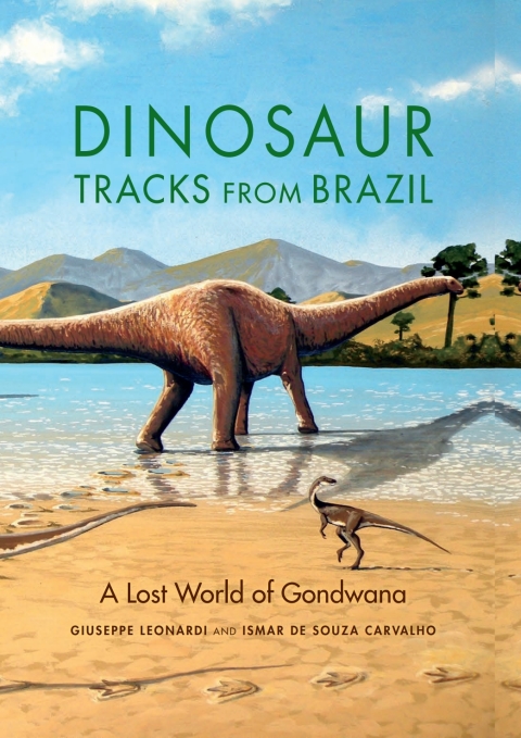 Book Dinosaur Tracks from Brazil free
