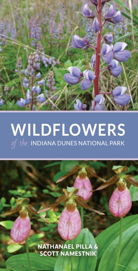 Book Wildflowers of the Indiana Dunes National Park free