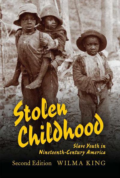 Book Stolen Childhood, Second Edition: Slave Youth in Nineteenth-Century America (Blacks in the Diaspora) free