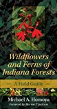 Book Wildflowers and Ferns of Indiana Forests: A Field Guide (Indiana Natural Science) free