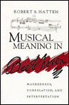Book Musical Meaning in Beethoven: Markedness, Correlation, and Interpretation (Advances in Semiotics) free