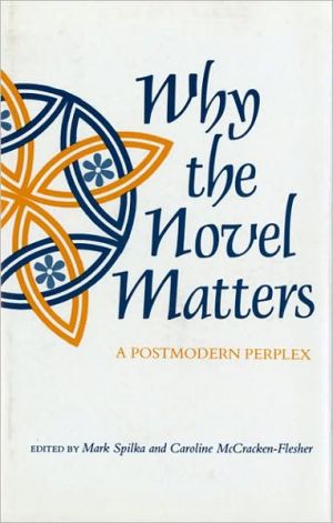 Book Why The Novel Matters: A Postmodern Perplex free