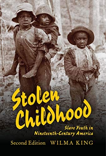 Book Stolen Childhood, Second Edition: Slave Youth in Nineteenth-Century America (Blacks in the Diaspora) free