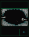 Book Using Information Technology: A Practical Introduction to Computers and Communications free