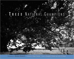 Book Trees: National Champions (MIT Press) free