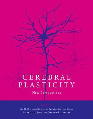 Book Cerebral Plasticity: New Perspectives (The MIT Press) free