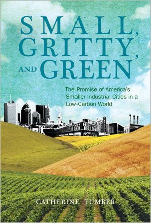 Book Small, Gritty, and Green: The Promise of America's Smaller Industrial Cities in a Low-Carbon World (Urban and Industrial Environments) free