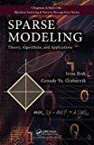Book Practical Applications of Sparse Modeling (Neural Information Processing series) free