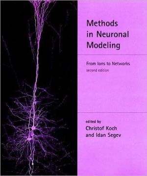 Book Methods in Neuronal Modeling - 2nd Edition: From Ions to Networks (Computational Neuroscience) free