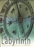 Book Labyrinth: A Search for the Hidden Meaning of Science free