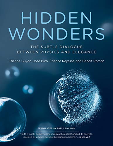 Book Hidden Wonders: The Subtle Dialogue Between Physics and Elegance free