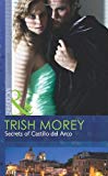 Book Secrets of Castillo Del Arco free