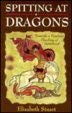 Book Spitting At Dragons: Towards A Feminist Theology Of Sainthood free