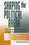 Book Shaping the Political Arena (Kellogg Institute Series on Democracy and Development) free