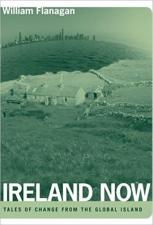 Book Ireland Now: Tales of Change from the Global Island free