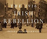 Book The 1916 Irish Rebellion free