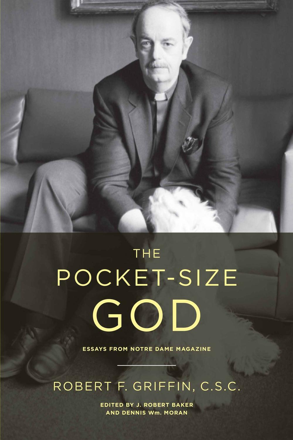 Book The Pocket-Size God free