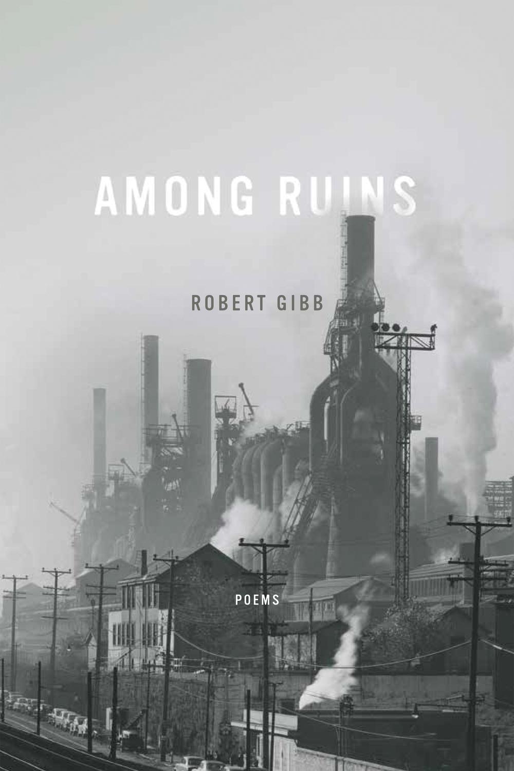 Book Among Ruins (Ernest Sandeen Prize in Poetry) free