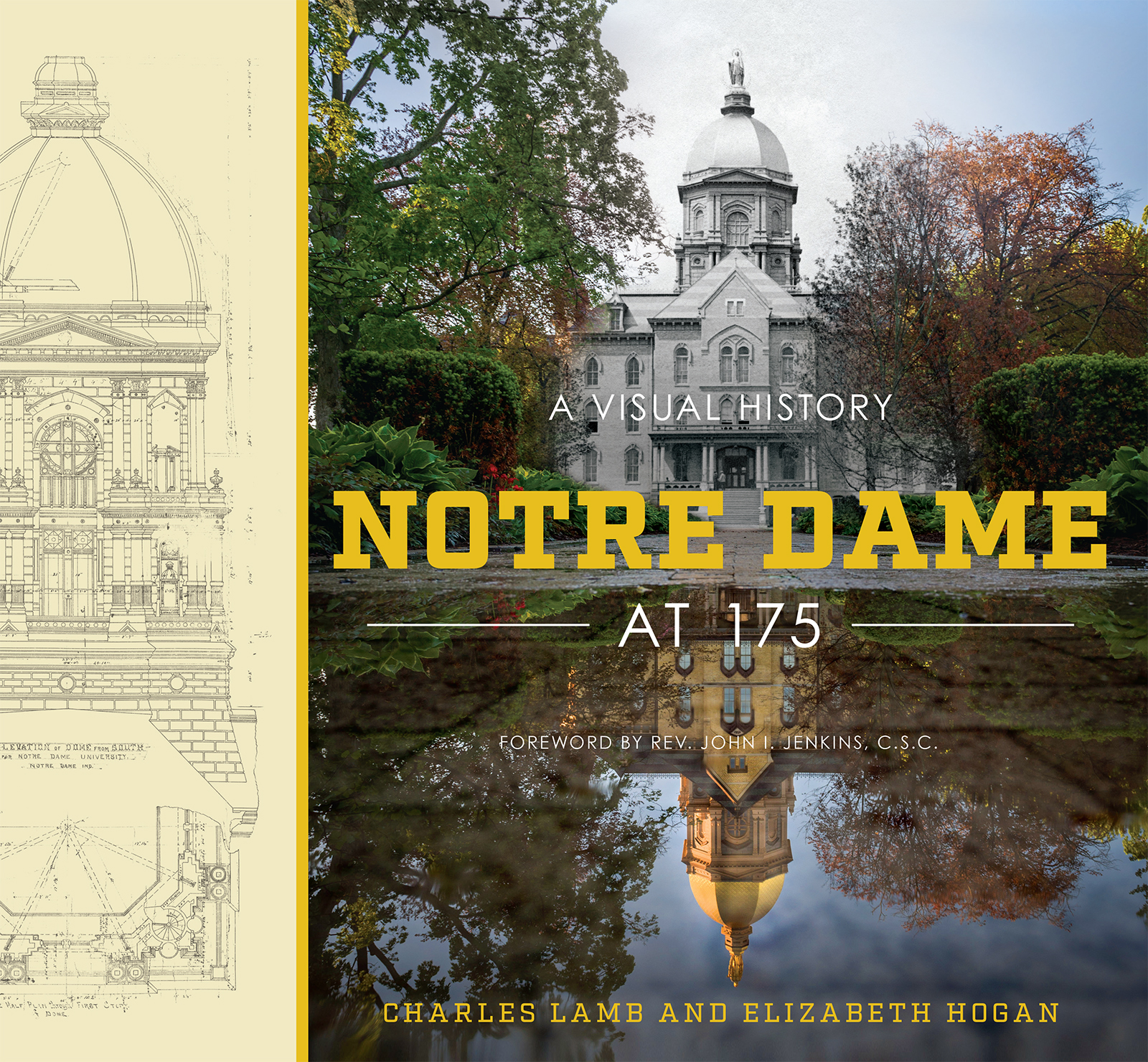 Book Notre Dame at 175 free
